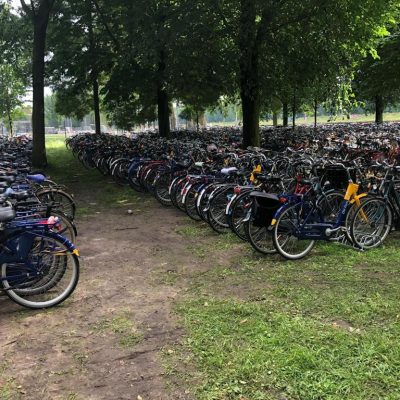 BOVAG: In 2020 kocht Nederland 30% meer fietsen