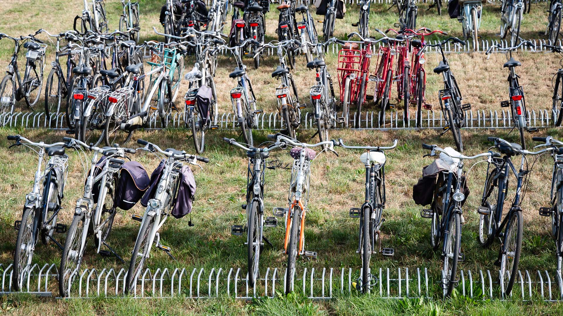 beest links ontsnappen Fietsenrek model EVENT® - Fietsparkeren